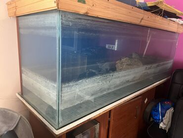 аквариум баку: Akvarium satilir. Boyukdur. Eni 1.75, hundurluk 60, derinlik 50. Uzun
