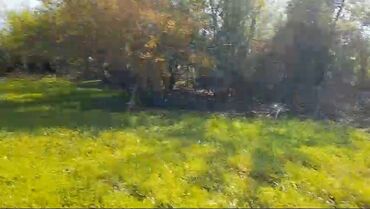 Torpaq sahələrinin satışı: 85 sot, Kənd təsərrüfatı, Mülkiyyətçi, Kupça (Çıxarış) -da lalafo.az — 4 Torpaq sahələrinin satışı: 85 sot, Kənd təsərrüfatı, Mülkiyyətçi, Kupça (Çıxarış) — 4