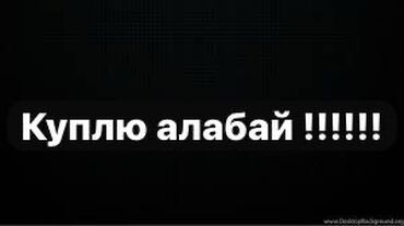 чау чау купить: Алабай, 2 месяца, Самец, С родословной