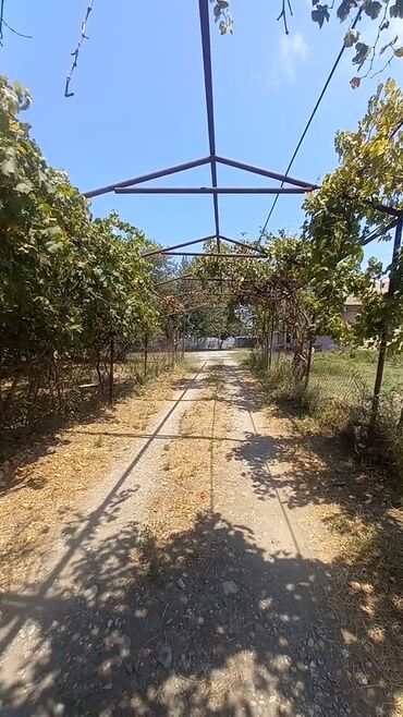 Həyət evləri və villaların satışı: 4 otaqlı, 3000 kv. m, Orta təmir -da lalafo.az — 1 Həyət evləri və villaların satışı: 4 otaqlı, 3000 kv. m, Orta təmir — 1