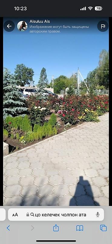 Продажа коттеджей и домов: 4 комнаты, 100 м², Чолпон-Ата, Собственник — 21