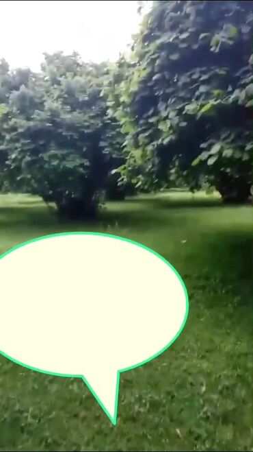 xacmazda satilan evler 2023: 180 sot, Kənd təsərrüfatı, Mülkiyyətçi, Kupça (Çıxarış)