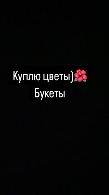 уличные цветы: Куплю цветы ( Букет) 26 мая цветы #Продать цветы 26 нан калган