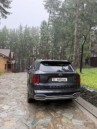 work kiwami: Kia Sorento: 2020 г., 1.6 л, Автомат, Гибрид, Кроссовер — 2