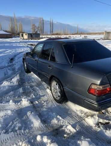 Mercedes-Benz: Mercedes-Benz W124: 1990 г., 2.2 л, Автомат, Бензин