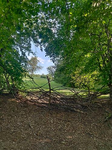 Torpaq sahələrinin satışı: 92 sot, Biznes üçün, Mülkiyyətçi, Kupça (Çıxarış), Bələdiyyə, Müqavilə — 21