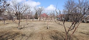 Продажа участков: 25 соток — 6