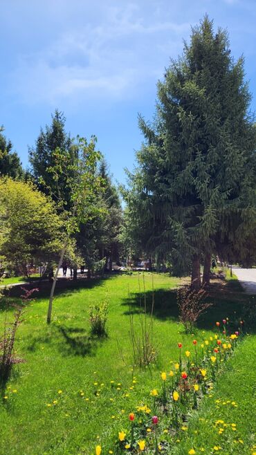 Иссык-Куль 2025: Квартира, 18 ЦО Радуга West, Кош-Кол, Бассейн — 12