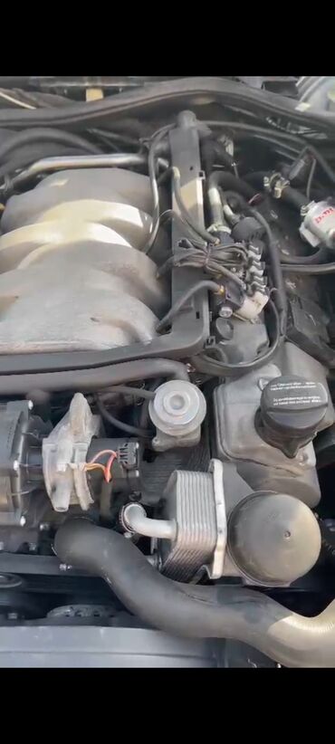 кронштейн двигателя: Бензиновый мотор Mercedes-Benz 1999 г., 4.3 л, Б/у, Оригинал, Германия