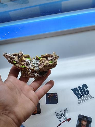 heyvan şəkilləri: Dördbucaq akvarium, Balıqlarla birlikdə, 15 l, Ünvandan götürmə — 6