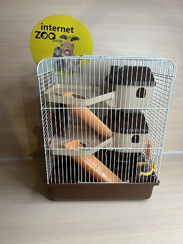 Хомяки: Продаются хомячки джунгарские, сирийские, ангорские пушистые хомячки — 28