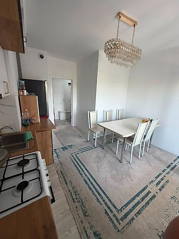 508: 1 комната, 50 м², Пишпек Элитка, 5 этаж, Косметический ремонт — 5