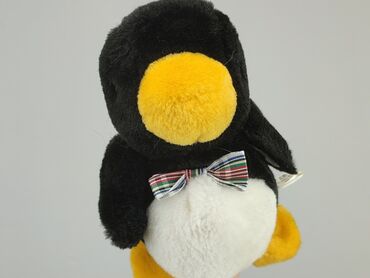 spodnie narciarskie dziecięce: Mascot Penguin, condition - Perfect