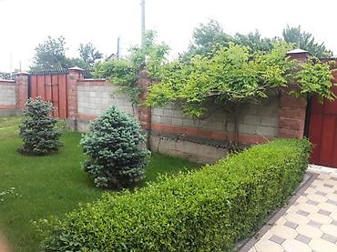 Продажа домов: Дом, 160 м², 6 комнат, Собственник, Косметический ремонт — 14