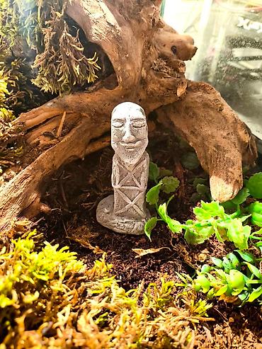 Зоотовары: 🌿 Украшения и декорации для аквариумов и террариумов 🌿 Продаю — 24