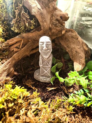 Зоотовары: 🌿 Украшения и декорации для аквариумов и террариумов 🌿 Продаю — 6