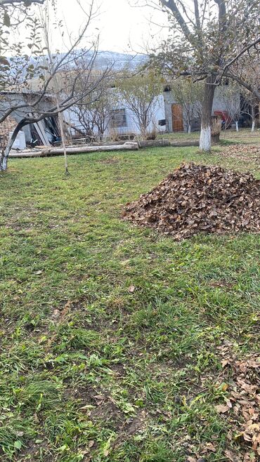 Цветы и букеты: Коробка с цветами в нежно‑розовой гамме. - Композиция в круглой — 7