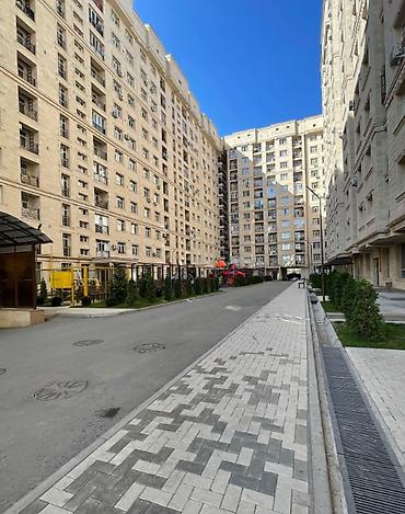 2 комнаты, 62 м², Азия Молл Элитка, 5 этаж, Свежий ремонт at lalafo.kg 2 комнаты, 62 м², Азия Молл Элитка, 5 этаж, Свежий ремонт