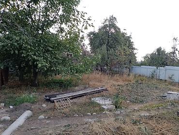 дома зальники: Продаётся одноэтажный кирпичный дом с приусадебным участком с подвалом — 3