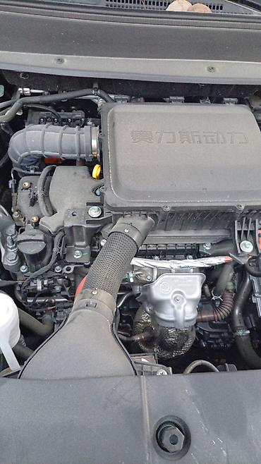 haval h7: Dongfeng : 2025 г., 1.5 л, Автомат, Электромобиль, Кроссовер — 9