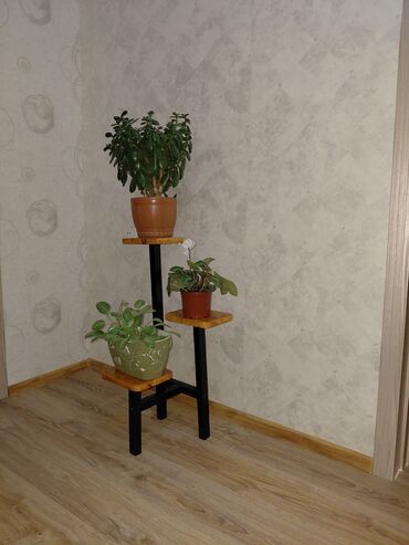 Bitkilər üçün dibçəklər: Taxta bitki stendləri və saksı dayaqları - Material: təbii ağac. Açıq — 10