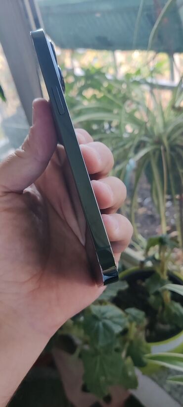 Apple iPhone: Apple iPhone iPhone 13 Pro, Alpine Green, Face ID — 7