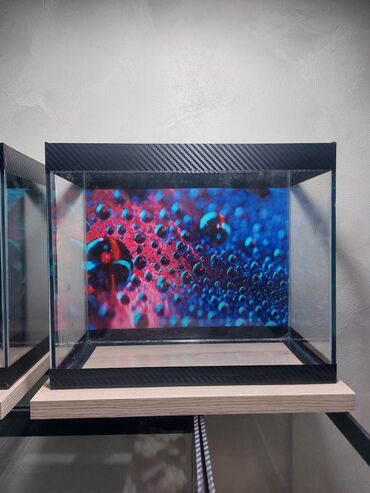 Akvariumlar: Şüşə akvarium – dekorativ fonlu modellər ölçü 30×25×15 Məhsul təsviri — 23