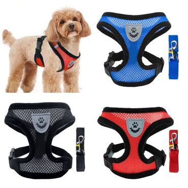 Зоотовары: Продаю приспособление для выращивания травы для животных и людей(в — 4