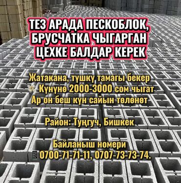 Разнорабочие: Требуется Разнорабочий на производство, Оплата Дважды в месяц, Без опыта