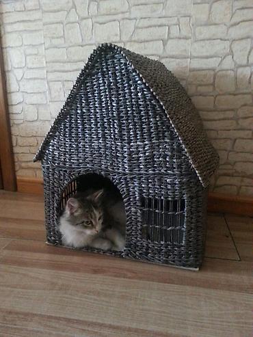кой коозу: Кошкин дом.Плетенный ручная работа. Выс.52.шир.30см.дл.43см. Цена 2200 — 2