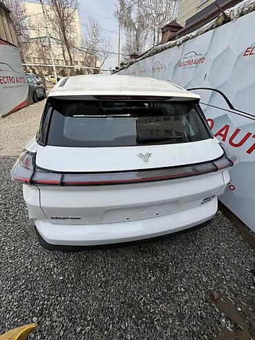 Zeekr: Zeekr : | 2022 г. Кроссовер — 3