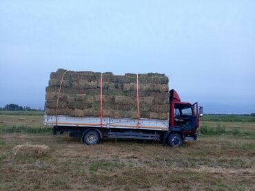 продаю каров: Продается сено в тюках, идеально подходящее для кормления
