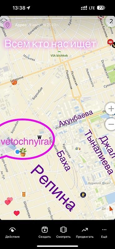 комн цветы: Если вашему растению нужна пересадка или помощь Фитоняни, пишите! А — 9