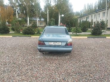 Mercedes-Benz: Mercedes-Benz E-Class: 1989 г., 2.5 л, Механика, Дизель, Седан — 3
