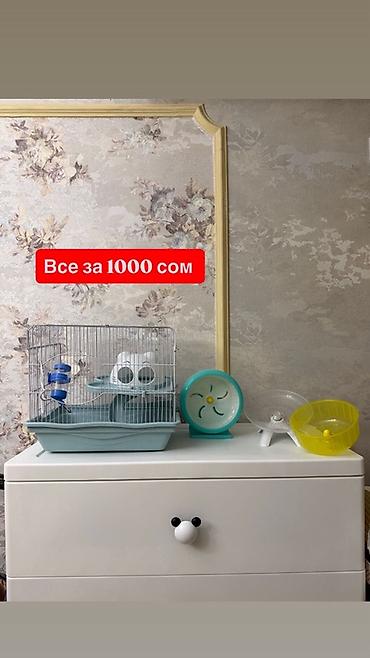 Комплект для хомяка/декоративного грызуна. 
Азия мол