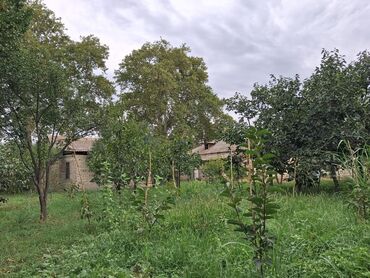 Bağ evlərinin satışı: Yerləşir:Göyçay rayonu Ərəb bələdiyyəsinin yanı trasın qrağı.25 sot -da lalafo.az — 17 Bağ evlərinin satışı: Yerləşir:Göyçay rayonu Ərəb bələdiyyəsinin yanı trasın qrağı.25 sot — 17