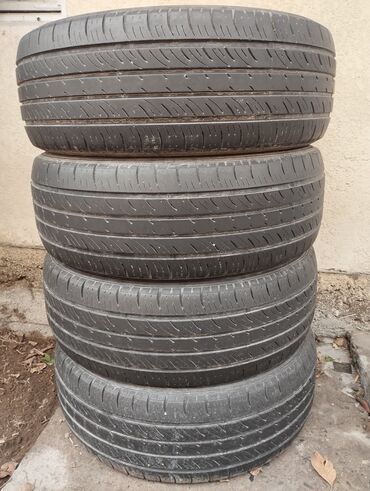 2055516 зимние: Шины 205 / 55 / R 16, Лето, Б/у, Комплект, Dunlop