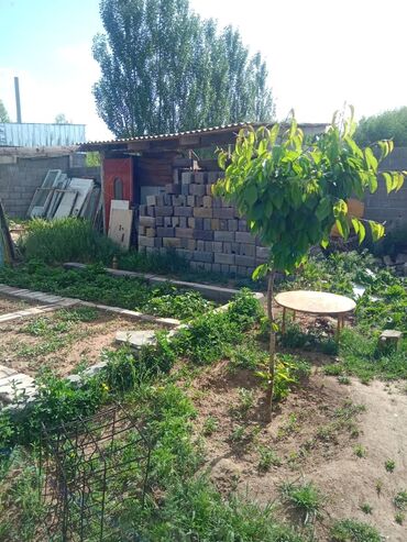 Продажа домов: Дом, 120 м², 6 комнат, Собственник, Косметический ремонт — 4