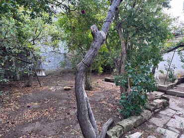 Həyət evləri və villaların satışı: 12 otaq, 210 kv. m, Kredit yoxdur, Orta təmir — 14