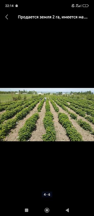 Продажа участков: 200 соток, Для бизнеса, Договор купли-продажи at lalafo.kg — 15 Продажа участков: 200 соток, Для бизнеса, Договор купли-продажи — 15