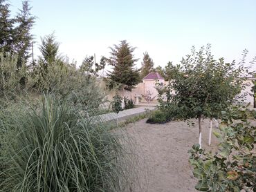 Həyət evləri və villaların satışı: 9 otaq, 700 kv. m, Yeni təmirli — 13