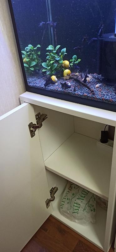 akvarium gəncə: Hündürlüyü 51.eni 27 uzunluğu 36 su tutumu 50 litr şkaf ilə balıqlar — 6
