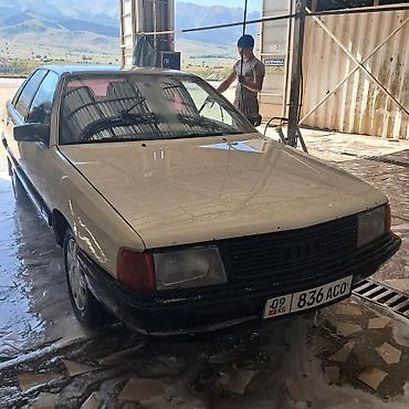 аули 80: Audi 100: 1989 г., Седан — 2