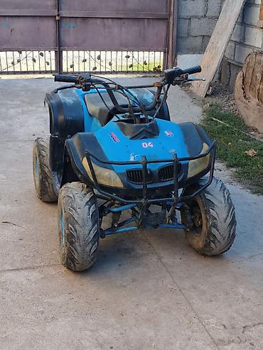 квадроцикл 13 лет: Квадроцикл Yamaha, Бензин, 110 куб. см, Взрослый — 6