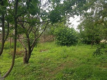 naxcivan satilan heyet evleri: 6 sot, Tikinti, Mülkiyyətçi, Kupça (Çıxarış) — 6