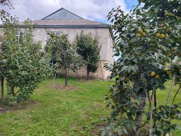 Həyət evləri və villaların satışı: Ev Xaçmaz-Xudat yoluna yaxın məsafədə yerləşir.25 sot həyətyanı sahədə -da lalafo.az — 6 Həyət evləri və villaların satışı: Ev Xaçmaz-Xudat yoluna yaxın məsafədə yerləşir.25 sot həyətyanı sahədə — 6