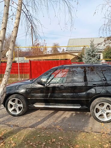 BMW: BMW X5: 2003 г., 4.4 л, Автомат, Бензин, Кроссовер — 12