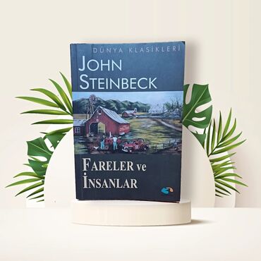 сколько стоит шпиц в азербайджане: John Steinbeck - Fareler ve İnsanlar. Kitabın qiyməti 3 azn-dır.👑🌱