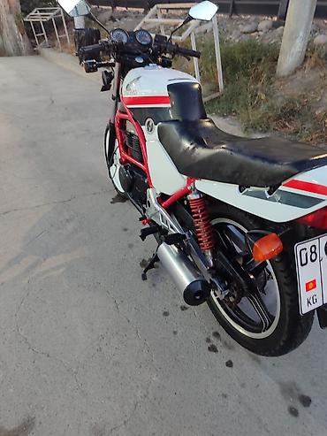 продам кенгурятник: Спортбайк Honda, 450 куб. см, Бензин, Взрослый, Новый — 4