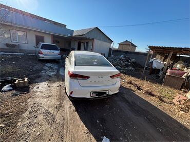 Hyundai: Hyundai Sonata: 2018 г., 2 л, Автомат, Газ, Седан — 6